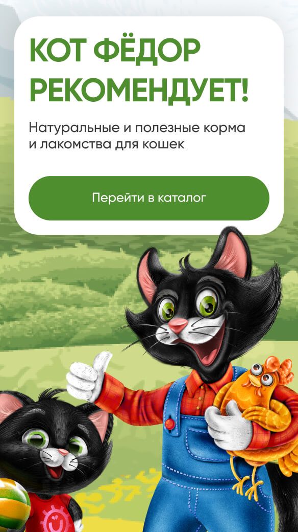 Ферма кота Фёдора — баннер 1